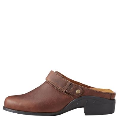 Ariat Sport - Mules Bruin Dames - 42385-455